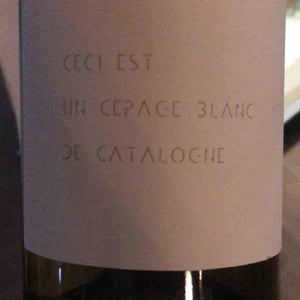 Ceci Est Un Cepage Blanc De Catalogne - Ronald Joachin - ronald-joachin -2019
