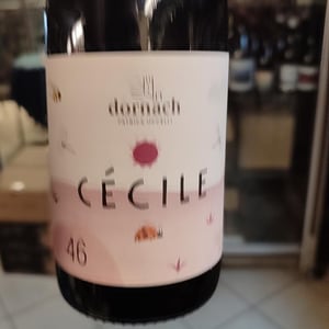 Cécile 40 - Ansitz Dornach - patrick-karoline-uccelli -2022