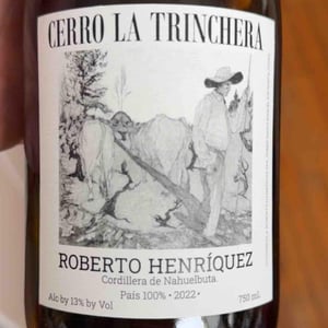 Cerro La Trinchera - Cordilla de Nahuelbuta - roberto-henriquez -2022