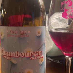 Chambourcin - Les Pieds dans la Dyle - pablo-et-jade-cremers