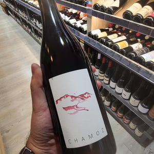 Chamoz - Domaine de la Borde - julien-mareschal -2023