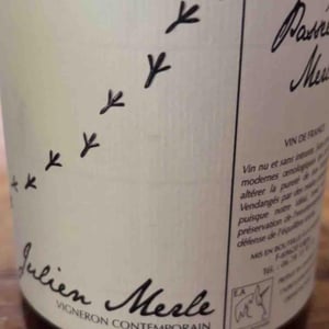 Champ Blanc - Julien Merle - julien-merle