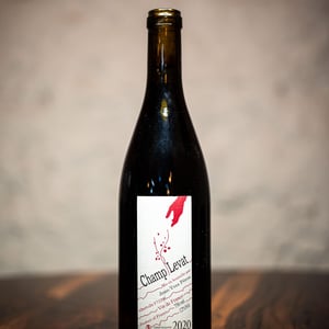 Champ Levat - Jean-Yves Péron - jean-yves-peron