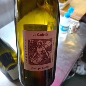 Champs Cadet - Domaine de La Soeur Cadette - jean-valentin-montanet