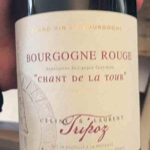 Chant de la Tour - Domaine Tripoz - celine-laurent-tripoz