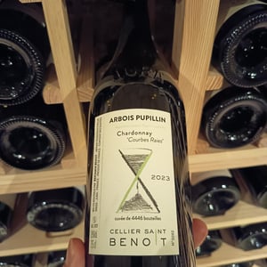 Chardonnay 'Courbes Raies' - Cellier Saint Benoit - benjamin-benoit -2022