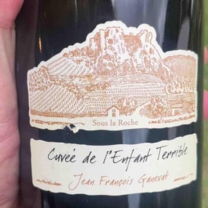 Chardonnay en Billat - Domaine Ganevat - anne-jean-francois-ganevat