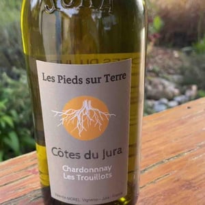 Chardonnay Les Trouillots - Les Pieds Sur Terre - valentin-morel