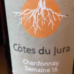 Chardonnay Semaine 16 - Les Pieds Sur Terre - valentin-morel