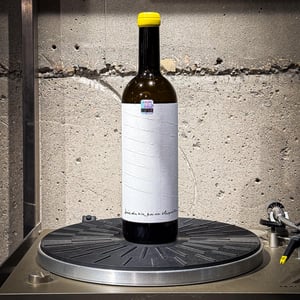 Chardonnay - DWNL - alessandro-salvano -2023