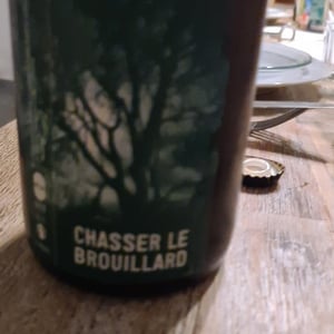 Chasser le brouillard - Stephane Cyran - stephane-cyran -2021