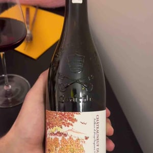 Châteauneuf-du-Pape - Domaine Mayard - arthur-et-hugo-mayard -2022