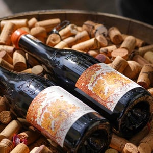 Châteauneuf-du-Pape - Domaine Mayard - arthur-et-hugo-mayard -2022