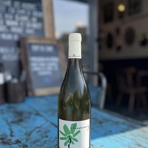 Cheverny (blanc) - Domaine - Hervé Villemade - herve-villemade