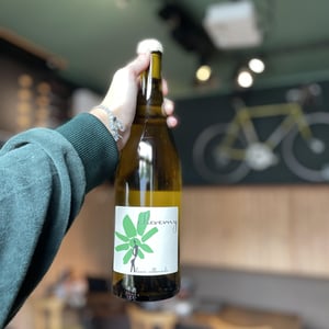 Cheverny (blanc) - Domaine - Hervé Villemade - herve-villemade