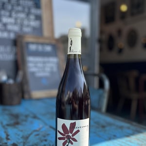 Cheverny (rouge) - Domaine - Hervé Villemade - herve-villemade