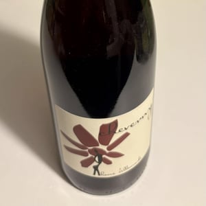 Cheverny (rouge) - Domaine - Hervé Villemade - herve-villemade