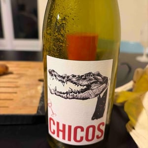 Chicos - Julien Pineau - julien-pineau