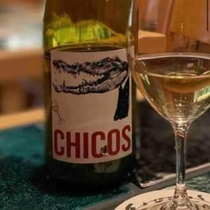 Chicos - Julien Pineau - julien-pineau