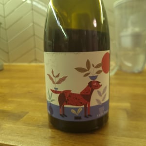 Chien rouge - Frace - vincent-lafage