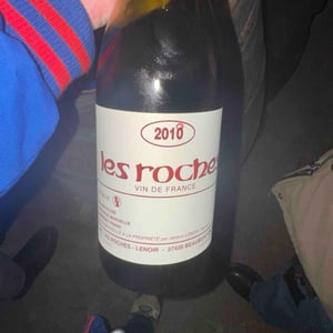 Chinon Les Roches - Domaine Les Roches - alain-jerome-lenoir