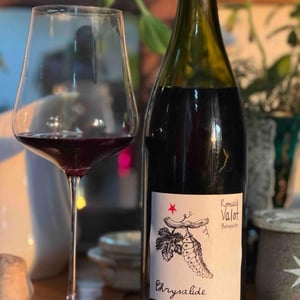 Chrysalide (Primeur) - Les Sauvageons - Cosima and Romuald Valot