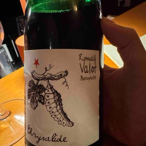 Chrysalide (Primeur) - Les Sauvageons - cosima-and-romuald-valot