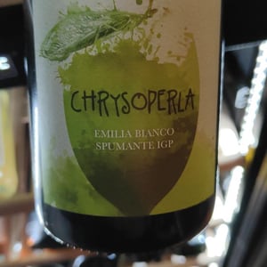 Chrysoperla - Podere Cervarola - andrea-della-casa -2020