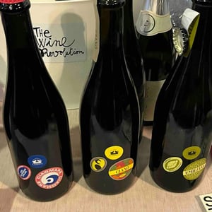 Cianò - Azienda Agricola Lusenti - lodovica-lusenti