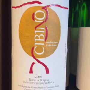 Cibino - Arnaldo Rossi - arnaldo-rossi