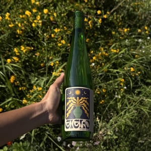 Ciclo - Ciclo Vinhos - joachim-roque