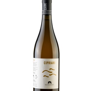 Cipriani - Tenuta San Marcello - massimo-palmieri-pascale-marquet -2024