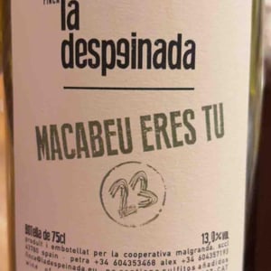 Claviento - Finca la Despeinada - petra-y-alex -2021