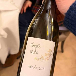 Clematis Vitalba - Domaine Henri Naudin-Ferrand - claire-naudin