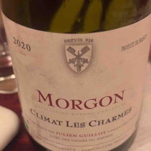 Climat Les Charmes - Clos des Vignes du Maynes - julien-guillot