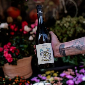 Coda di Volpe del Nonno - Cantine dell'Angelo - angelo-muto