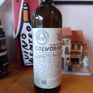 Coenobium - Monastero Trappiste Vitorchiano - suor-adriana-giampiero-bea