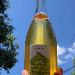 Col Tamarìe - Azienda Agricola Vigna San Lorenzo SS - alberto-dalle-crode