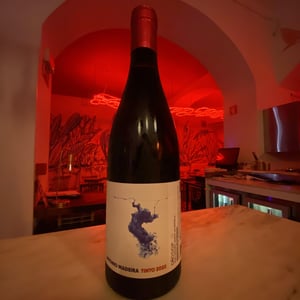 Colheita Tinto - Antonio Madeira - antonio-madeira