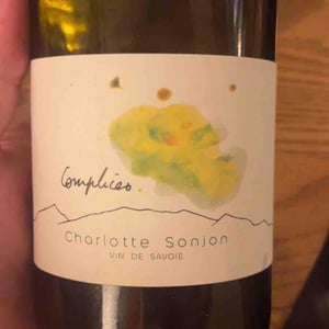 Complices - Charlotte Sonjon - charlotte-sonjon -2022