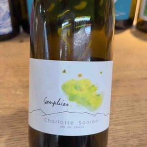 Complices - Charlotte Sonjon - Charlotte Sonjon -2022