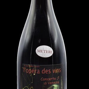 Concerto Di Venezia - Les Vignes de l'Angevin - jean-pierre-robinot -2019