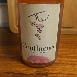 Confluence - Domaine de Trivel - sidonie-joggerst-thomas-guillon -2021