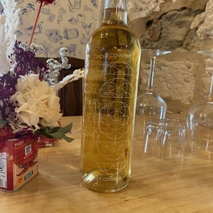 Connexio Cosmica - Còsmic Vinyaters - salvador-batlle-barrabeig