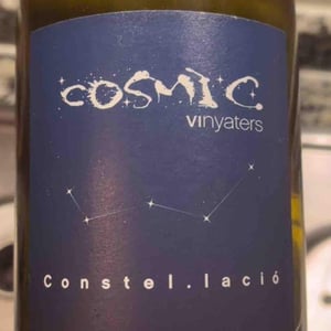 Constel.lació - Còsmic Vinyaters - salvador-batlle-barrabeig