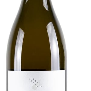 Cóntame - Azienda Agricola Nevio Scala - nevio-scala