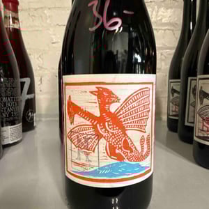 Controlled Chaos - Kolonia 52 - annamaria-torok-attila-francisti -2023