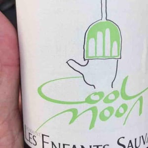 Cool Moon - Les Enfants Sauvages - Nikolaus & Caroline Bantlin -2017