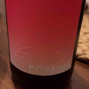 Copains - Domaine du Petit Oratoire - lori-haon -2023