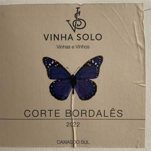 Corte Bordalês - Vinha Solo - milton-scola-raimundo-demore -2022